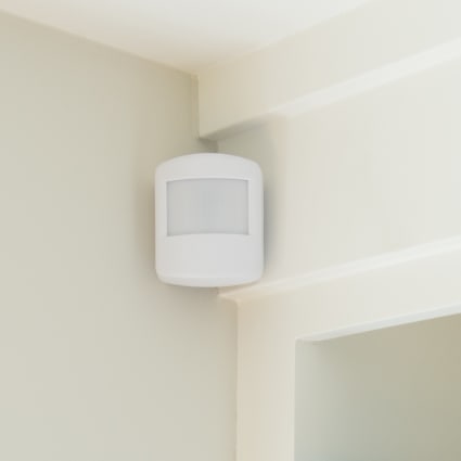 Kingsport motion sensor