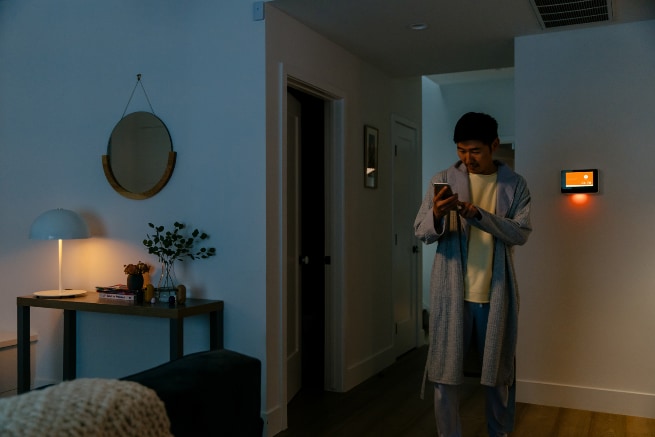 Vivint Kingsport smarthome automation